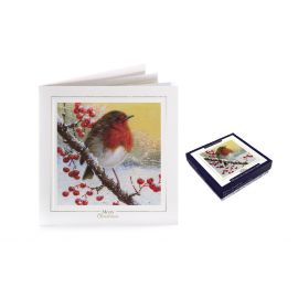 BOX CARDS DELUXE WINTER ROBIN PK OF 10 - TOM SMITH