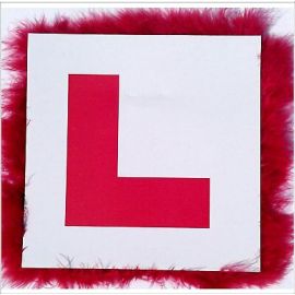 HEN PARTY L PLATE BADGE