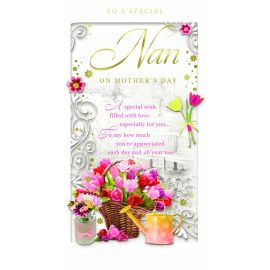 NAN ON MOTHERS DAY CODE 72 PK OF 6